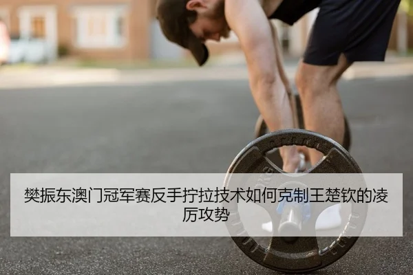 樊振东澳门冠军赛反手拧拉技术如何克制王楚钦的凌厉攻势